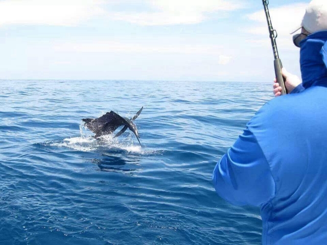  Sport fishing 